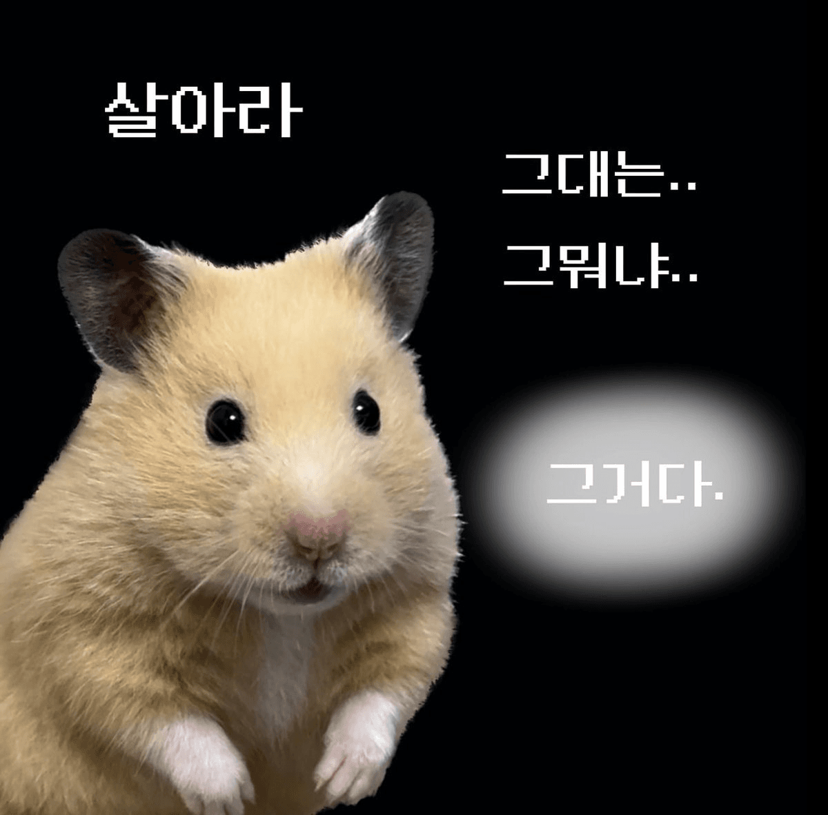 🌅오늘도 돌 밀러 갑니다